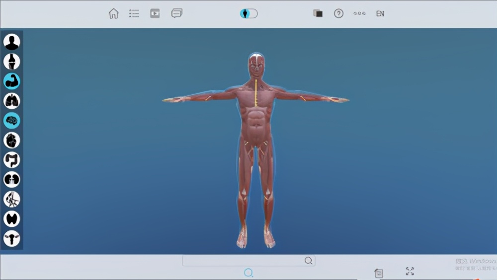 北京欧倍尔开发出人体数字解剖3d虚拟仿真软件:深知解剖学对医生的