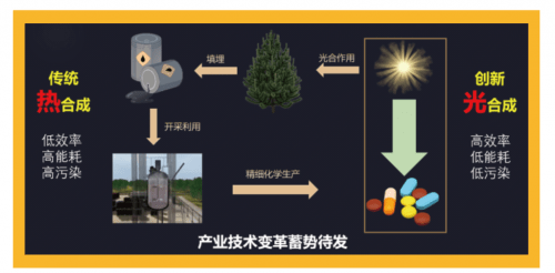 善施科技光催化反应设备为医药研发生产提速增效