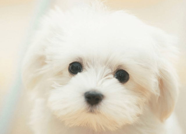 3de4659c0a5f4d6fa8942d172a8c5104.png