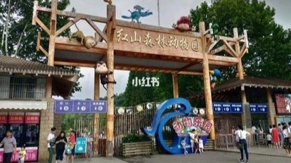 粉面排行_6月份红餐指数榜公布:粉面细分赛道成为资本追逐的香饽饽