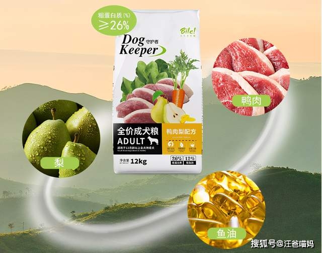 e260210b1a064a82a17c77fda4c34f8c.jpeg