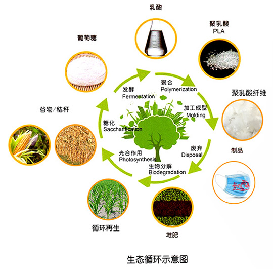 食布同源聚乳酸带火常规无纺布生物降解更环保