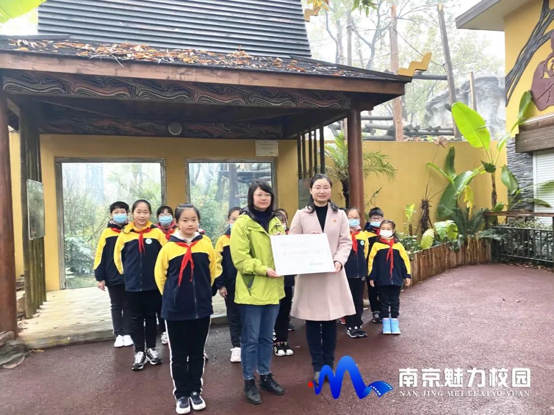 动态丨南京市红山小学:认养珍稀动物红猩猩捐款仪式