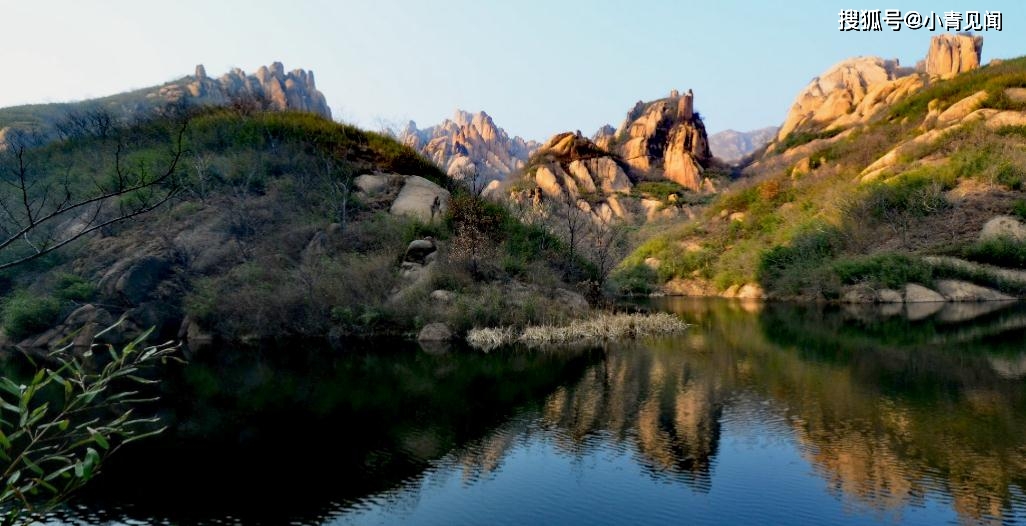 雪松GDp_雪松图片