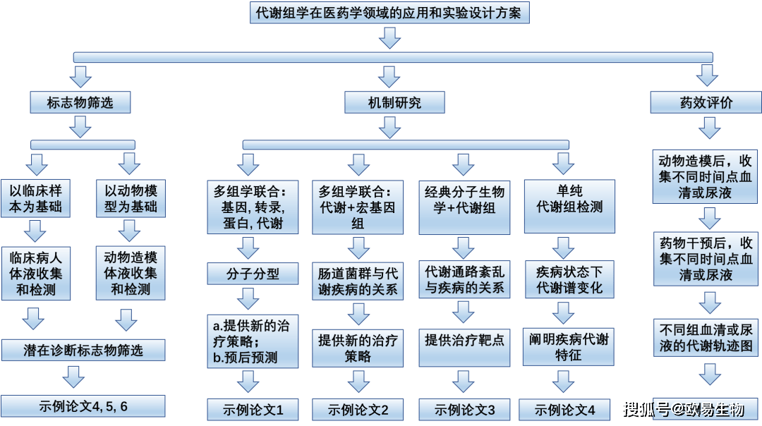 看完秒懂,代谢组学医药领域机制研究实验设计方案怎么