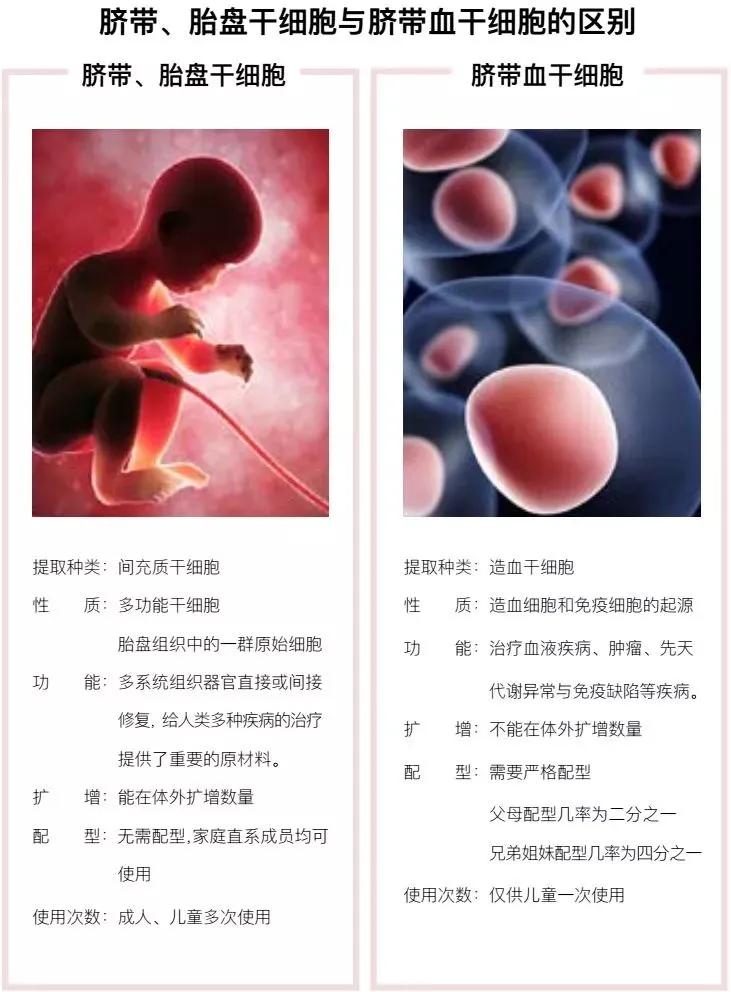 脐带胎盘干细胞储存治疗疾病和对抗衰老的最佳方案