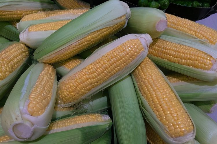 哪些属于粗纤维的食物 ede4ff6002db45b48d69b428c4193fbd.jpeg
