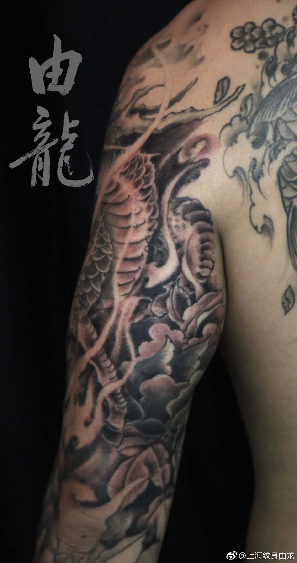 上海由龙纹身花臂麒麟纹身图案