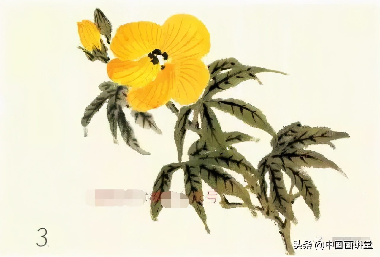 写意花卉画的整体画法,各种写意花卉画法图文详解