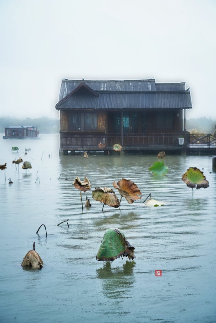 留得残荷听雨声