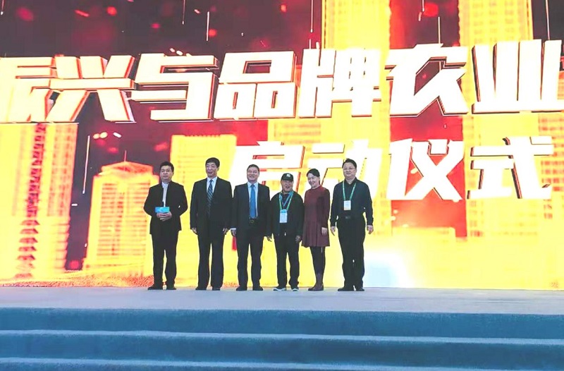 2024年重庆中学排行榜揭晓：决胜未来教育的制胜之选