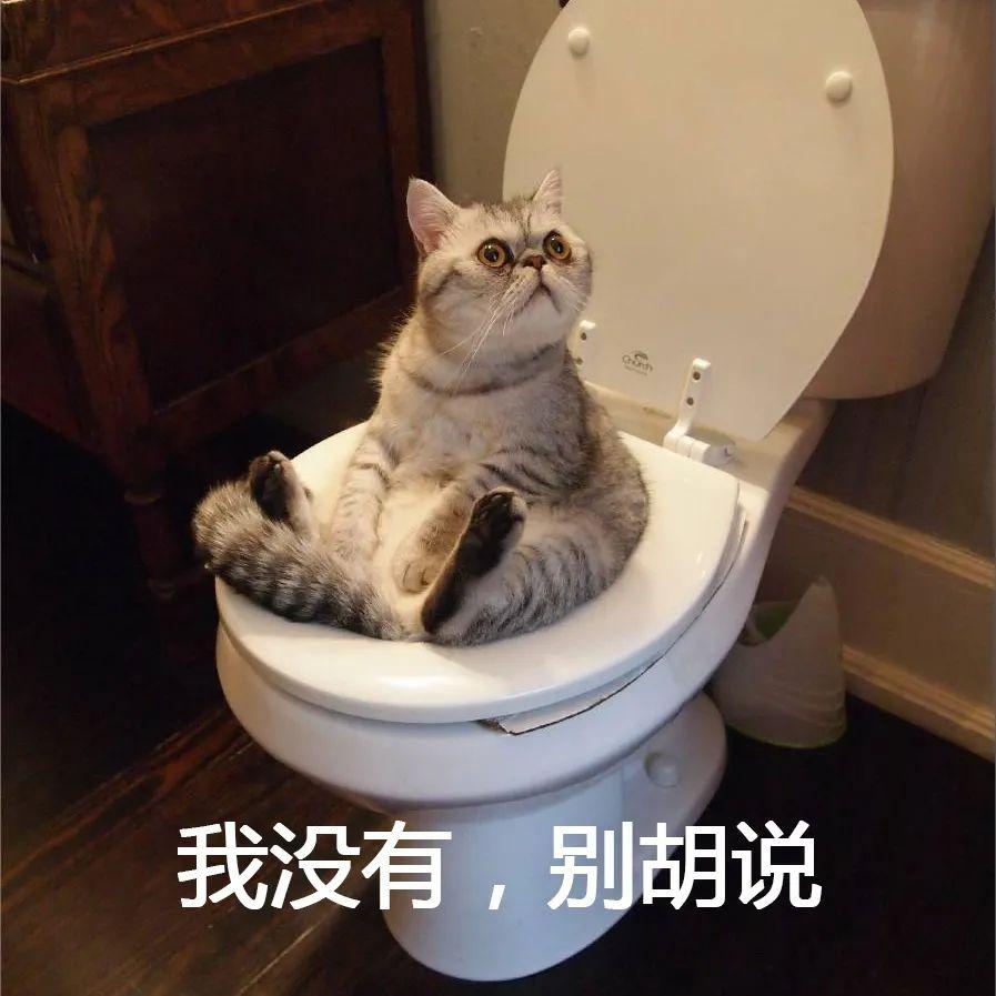 677c2fbfd01445f0aa6584a722addaf6.jpeg