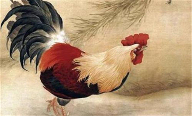 属鸡人:12月什么颜色最旺?幸运数字是多少?有什么喜事