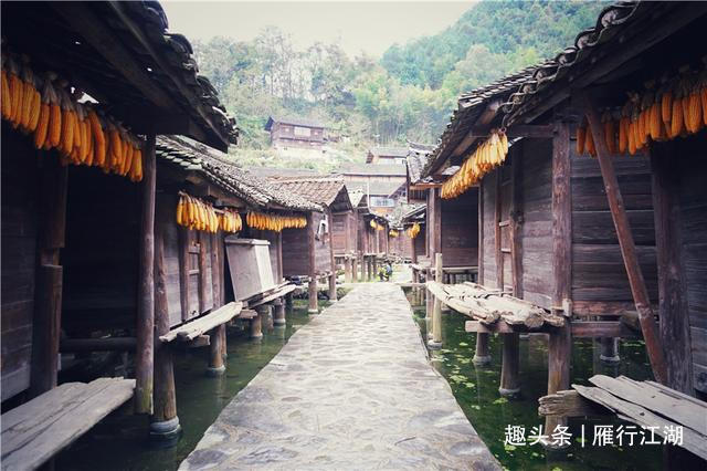 贵州有个神秘的山寨,寨子里女子一年四季穿短裙,自称世界第一短