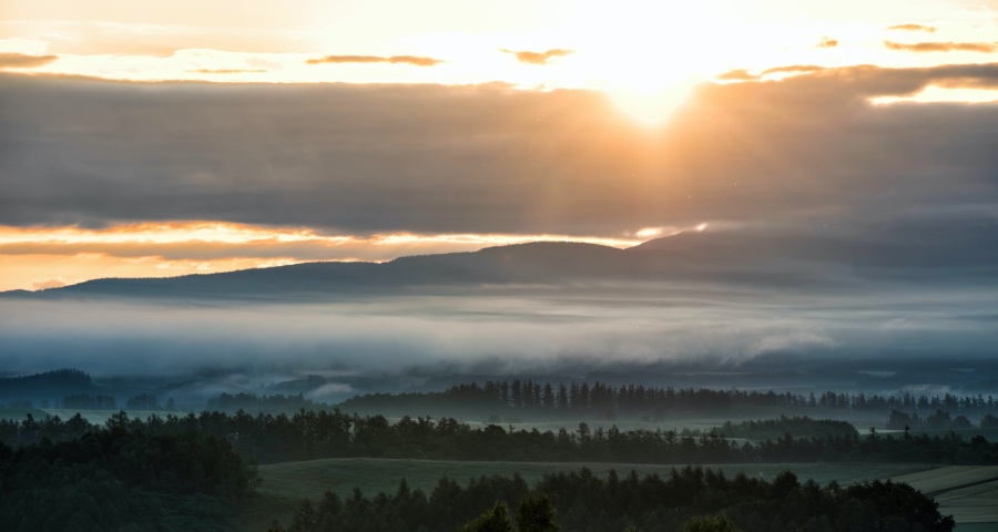 家电市场竞争格局正在加速巨头化！-家电圈官网