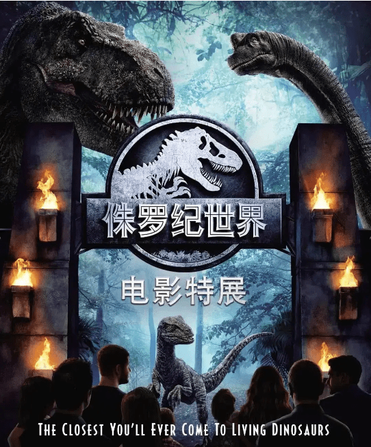 梦境中的奇异之旅，棺材在树上跌落引发的深层解析