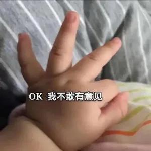 炮姐的梗 玩家文档