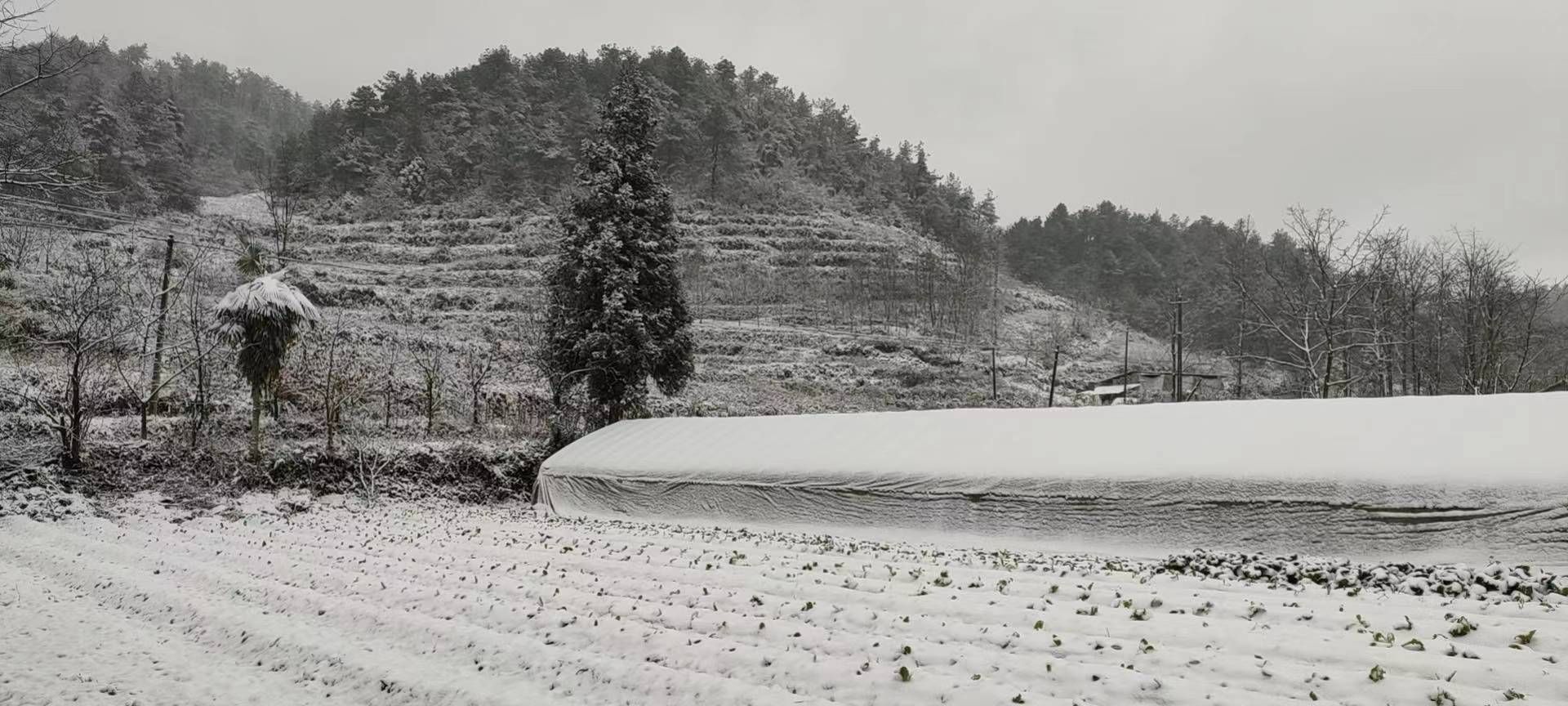 2020年12月3日贵州省德江县沙溪乡雪景(罗仕林摄)