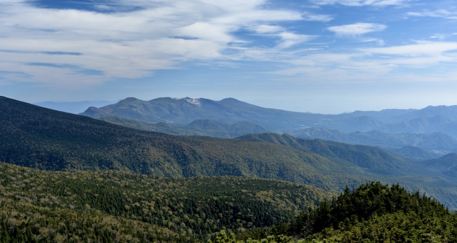 意外再次袭击家电业，但企业却不再害怕！-家电圈官网