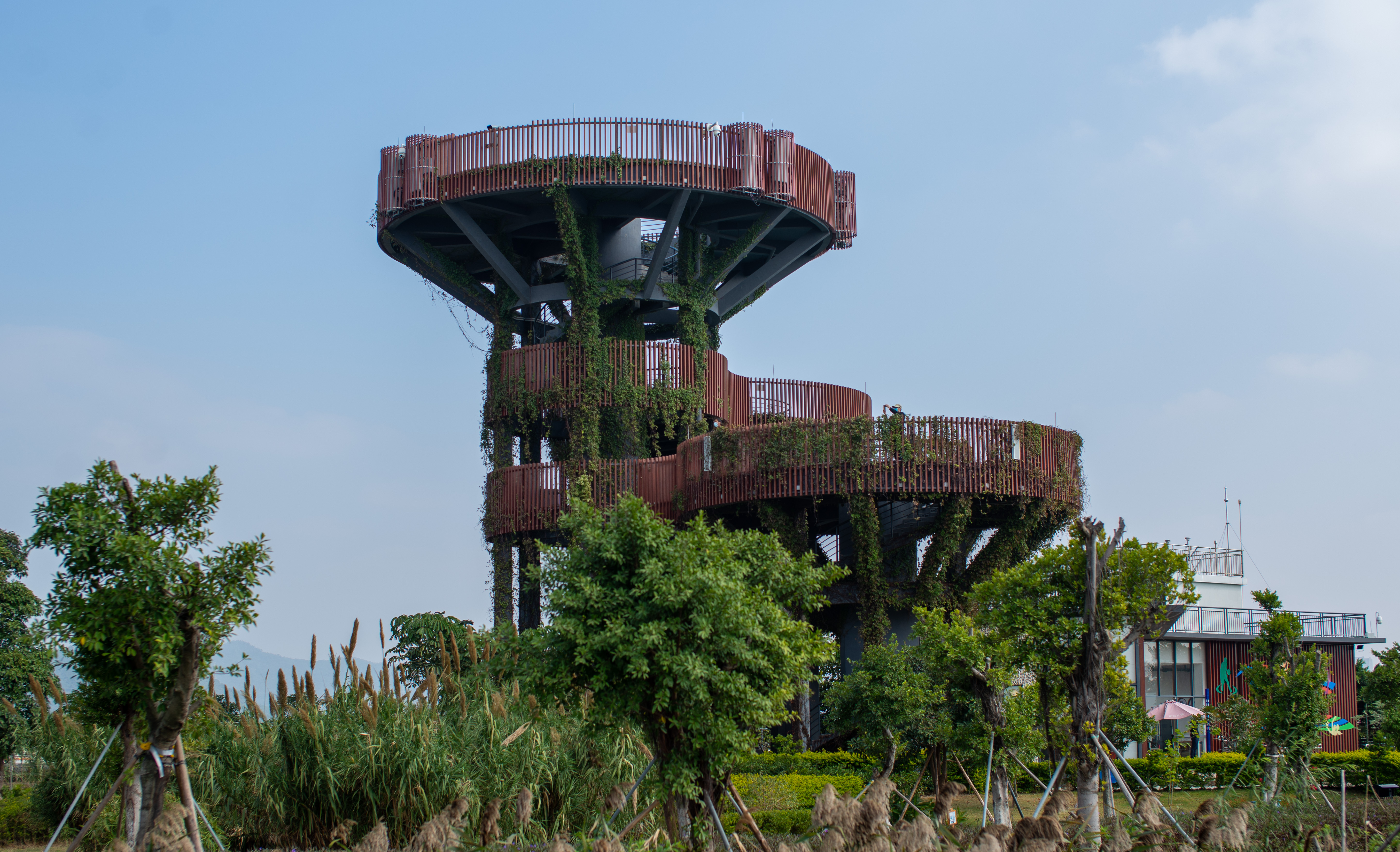 珠海横琴芒洲湿地公园