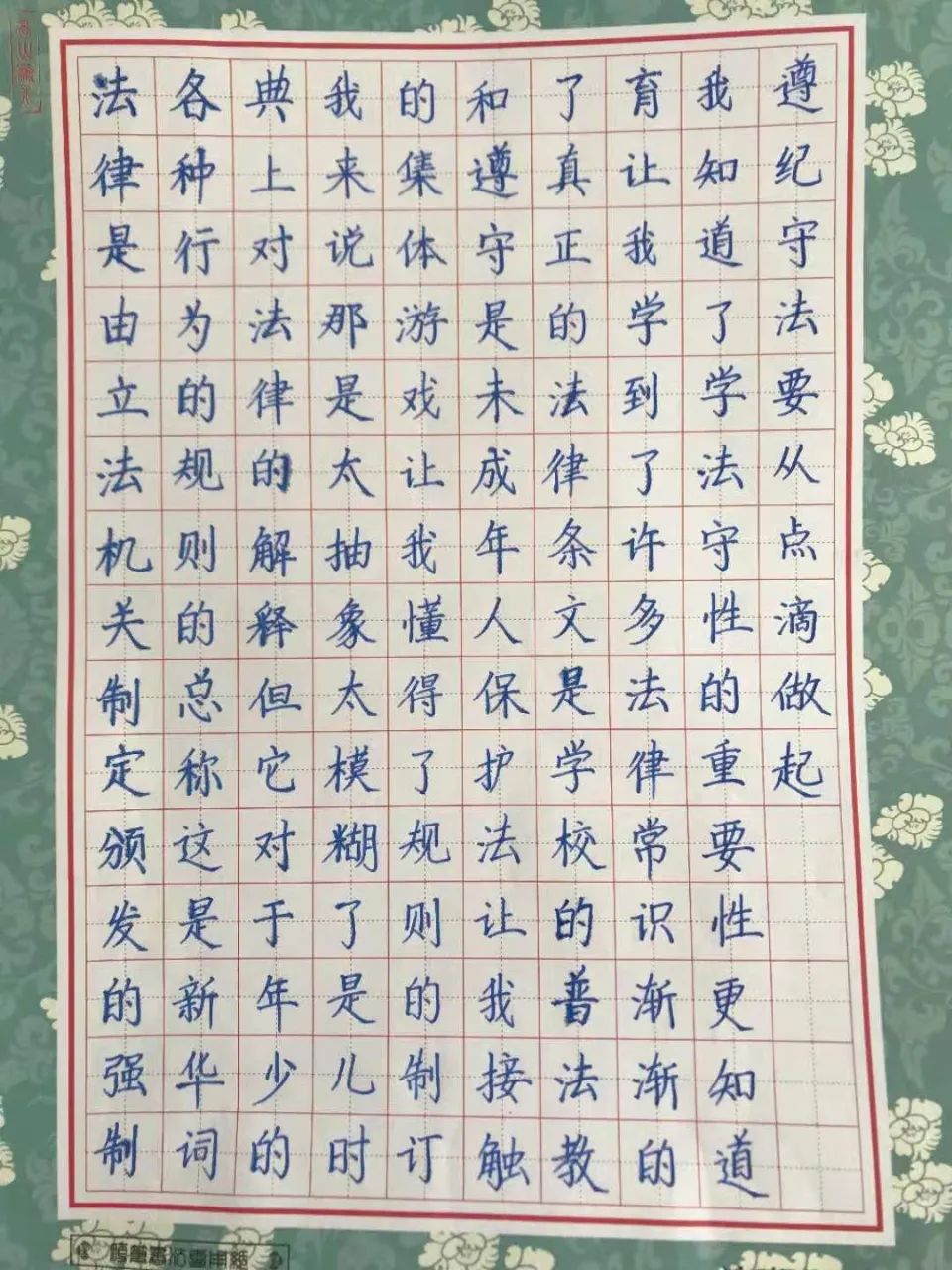 弘扬宪法精神树立宪法权威濮阳市开德小学礼赞宪法主题教育活动