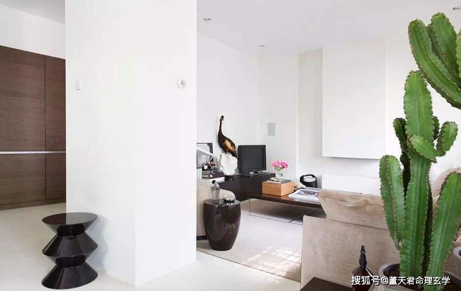 乌龟为什么不能放在客厅里 74482743b82b498caededd5785ab17a0.jpeg