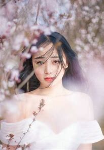 2020年十二生肖运势_生肖运势12月11日十二生肖运势解析