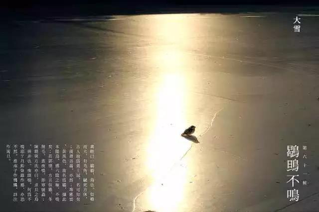 今日“大雪”，别忘了陪孩子做这6件事！（转给