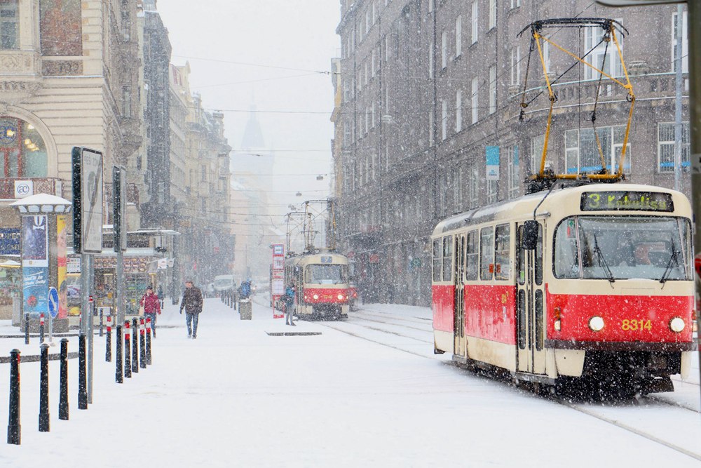 今日大雪你那里下雪了吗赏一组雪景照片