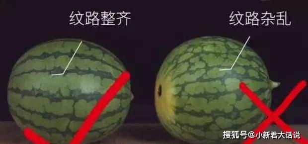 怎样挑西瓜不甜还有水分 3a90b77b1a6341448597752e7732dcdb.jpeg
