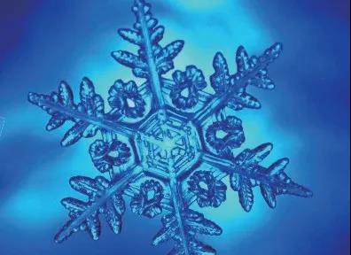 今日“大雪”，别忘了陪孩子做这6件事！（转给