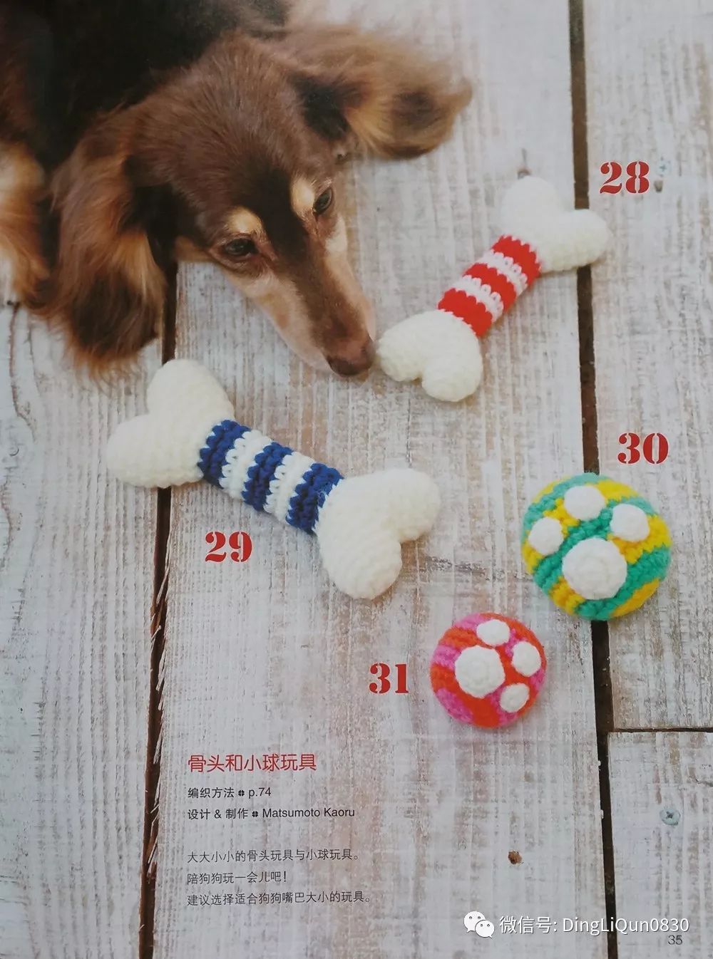 怎么挑选小狗图解大全 9ff284dbe7d4486f81b8df1726a68bd6.jpeg