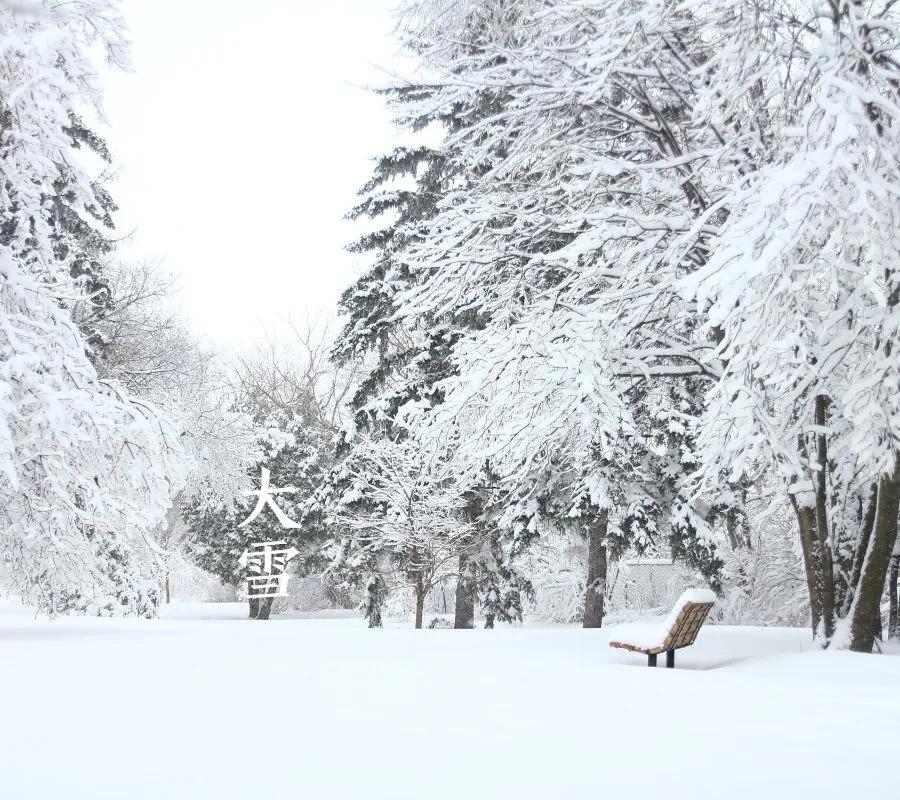 诗词丨雪落成诗,景美情长_大雪