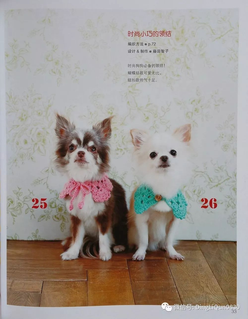 怎么挑选小狗图解大全 bd11f206b4334fa0a06b48cdb7754a57.jpeg