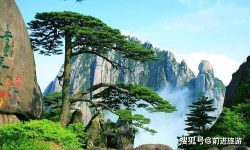 中国旅行社排行_中国5A级旅游景区排行榜,江苏排第一,浙江排第二