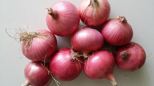 为什么有人不爱吃洋葱 fc5e1f9b9f0941dfb7173a0782a1a050.jpeg