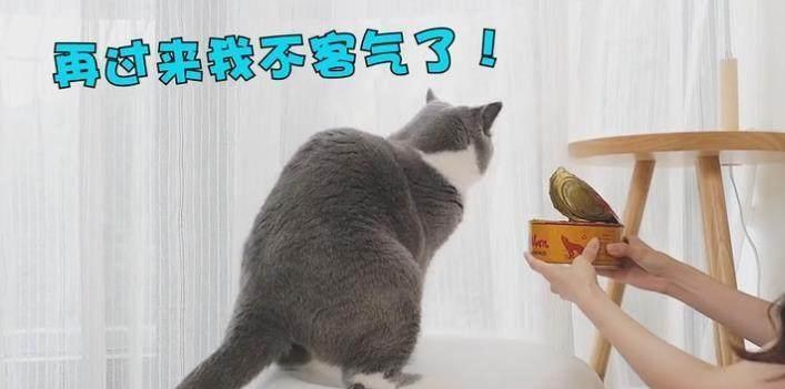 79704dff320e473cbb964f6ff3bc9b37.jpeg