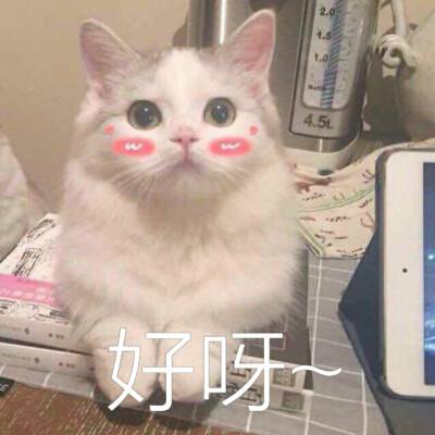 dd4d48a613fe43c6a51668721e05d9e8.jpeg