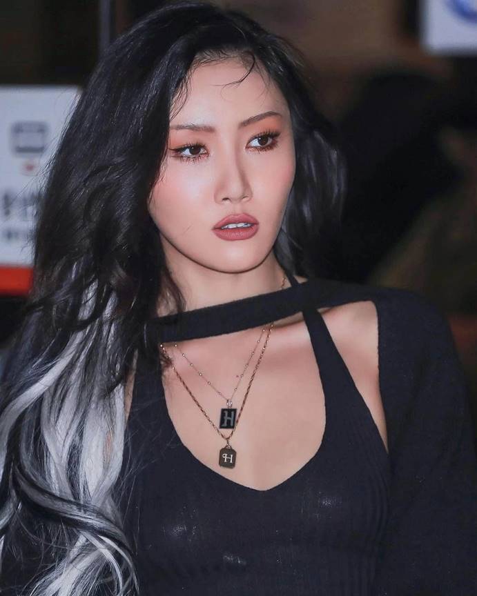 华莎 袖套针织衫