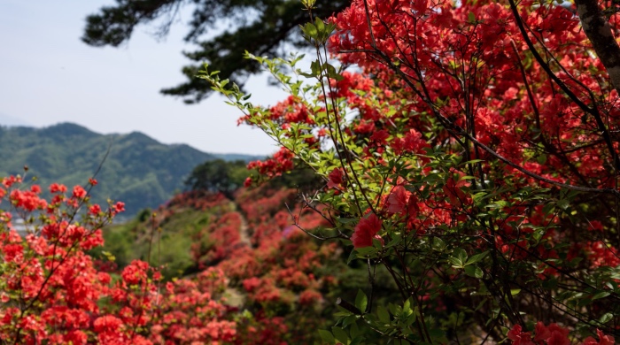 家电细分市场迟迟难引爆，不妨从兴趣圈层找到突破口-家电圈官网
