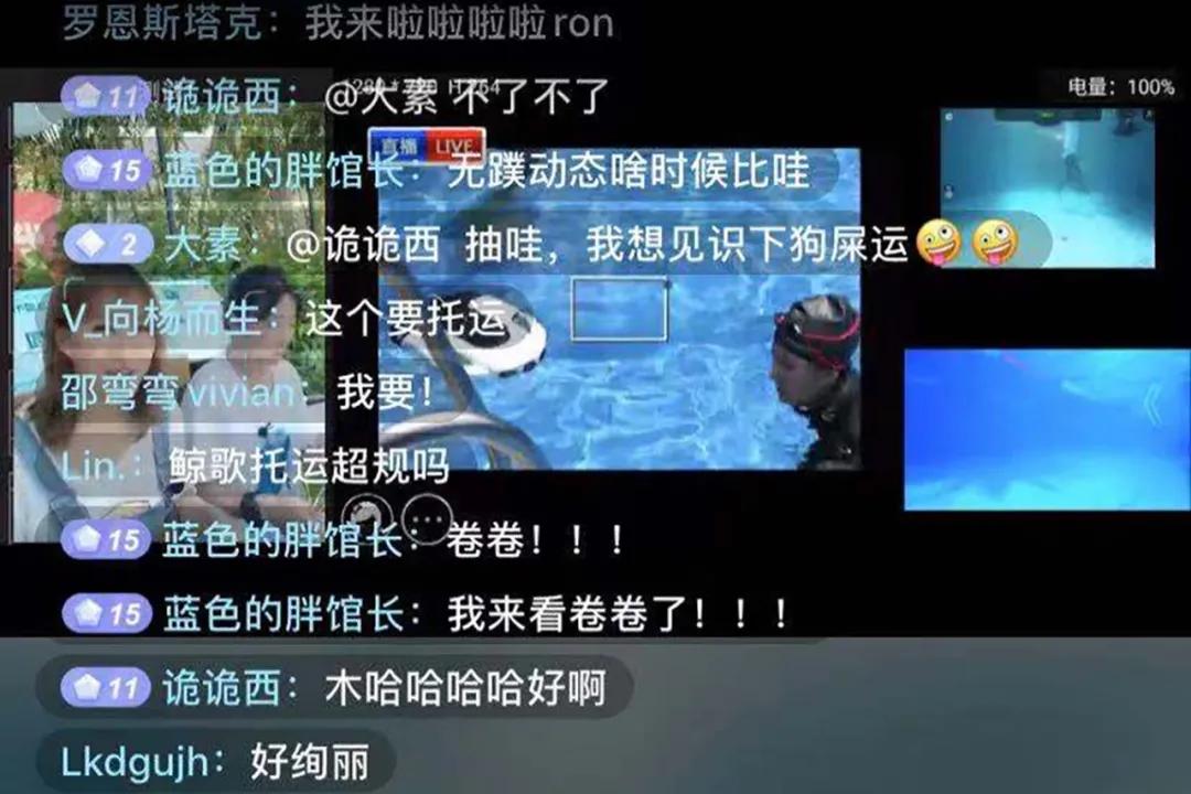 “开云kaiyun官方网站”
水下直播(图11)