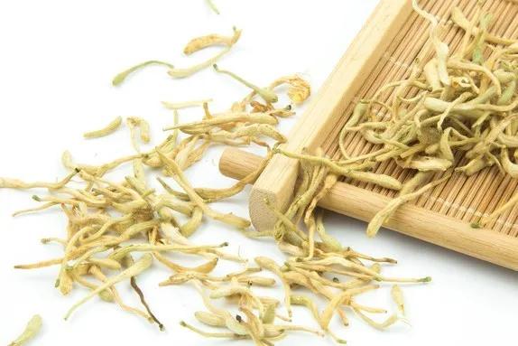 回不去的思念曲谱歌词