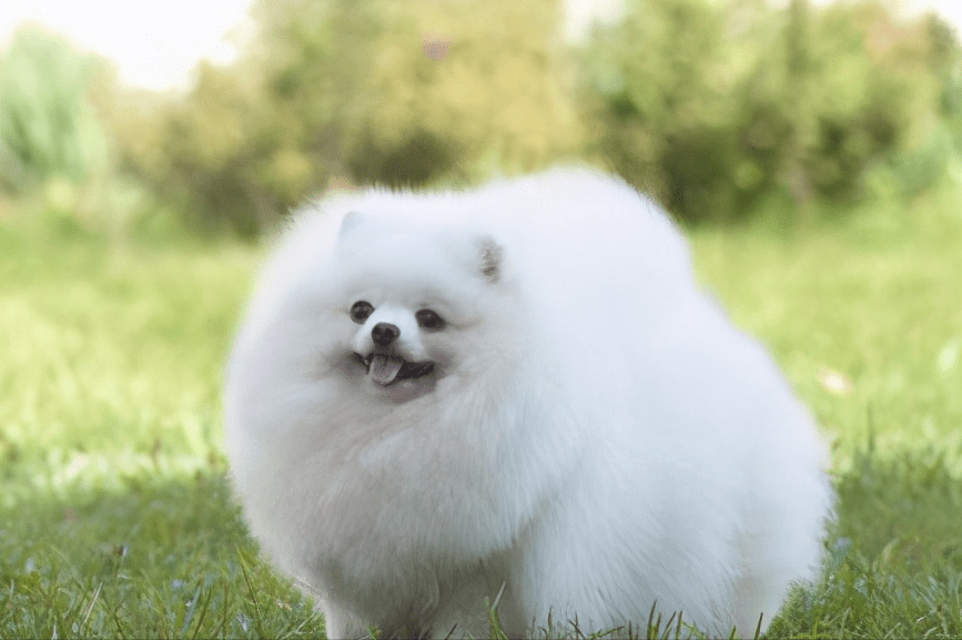 4656d45915f24488a96579738ccb7d06.png