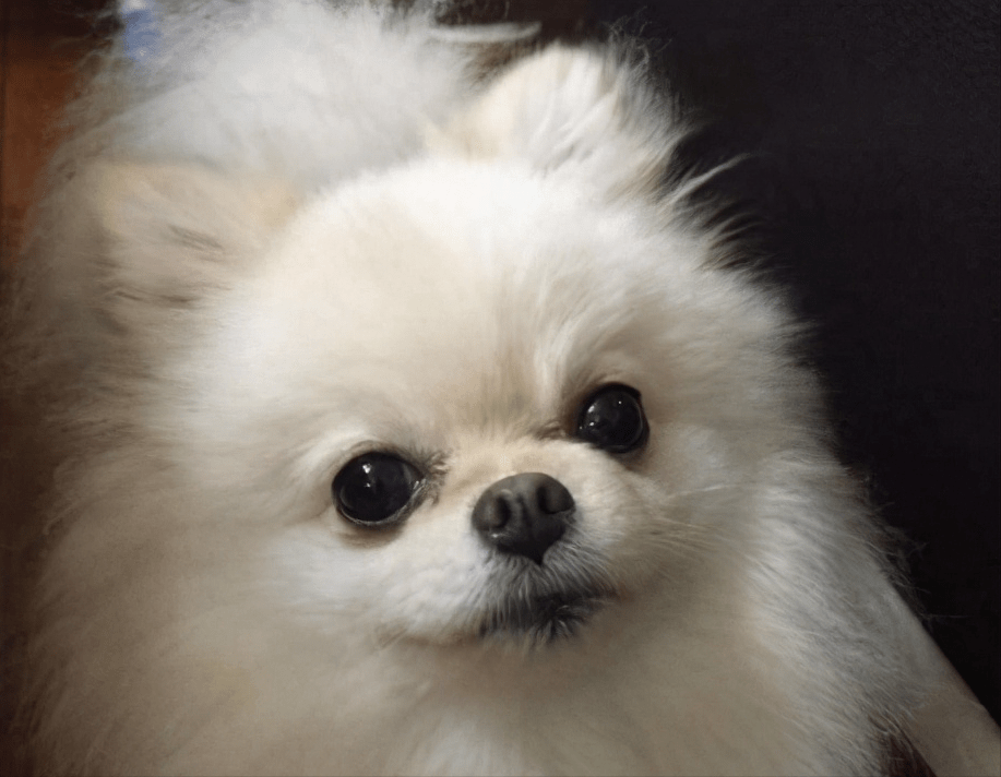 7890816c60944cb3b8ac103aa3a10ab8.png