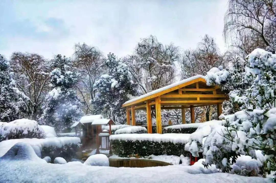 南山温泉