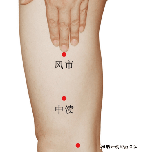 殷门穴是足太阳膀胱经的常用腧穴之一,位于大腿后面,承扶穴与委中穴