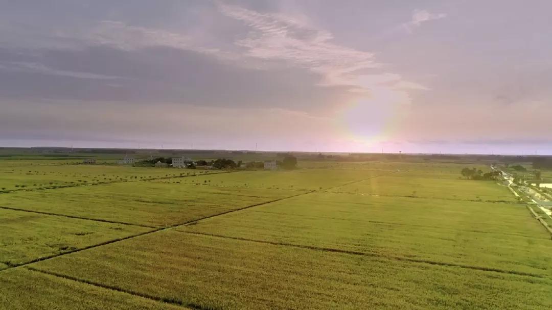 闽宁镇2019gdp_闽宁镇(3)