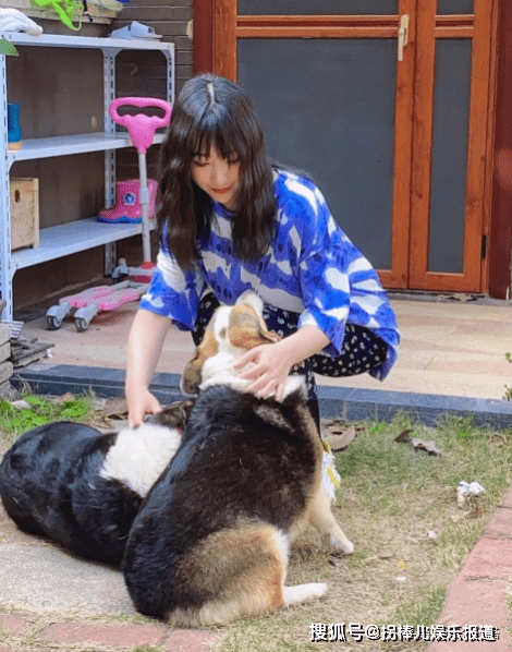 狗为什么爱晒太阳的原因 9b2454715dbd4c229a470c778492084d.png