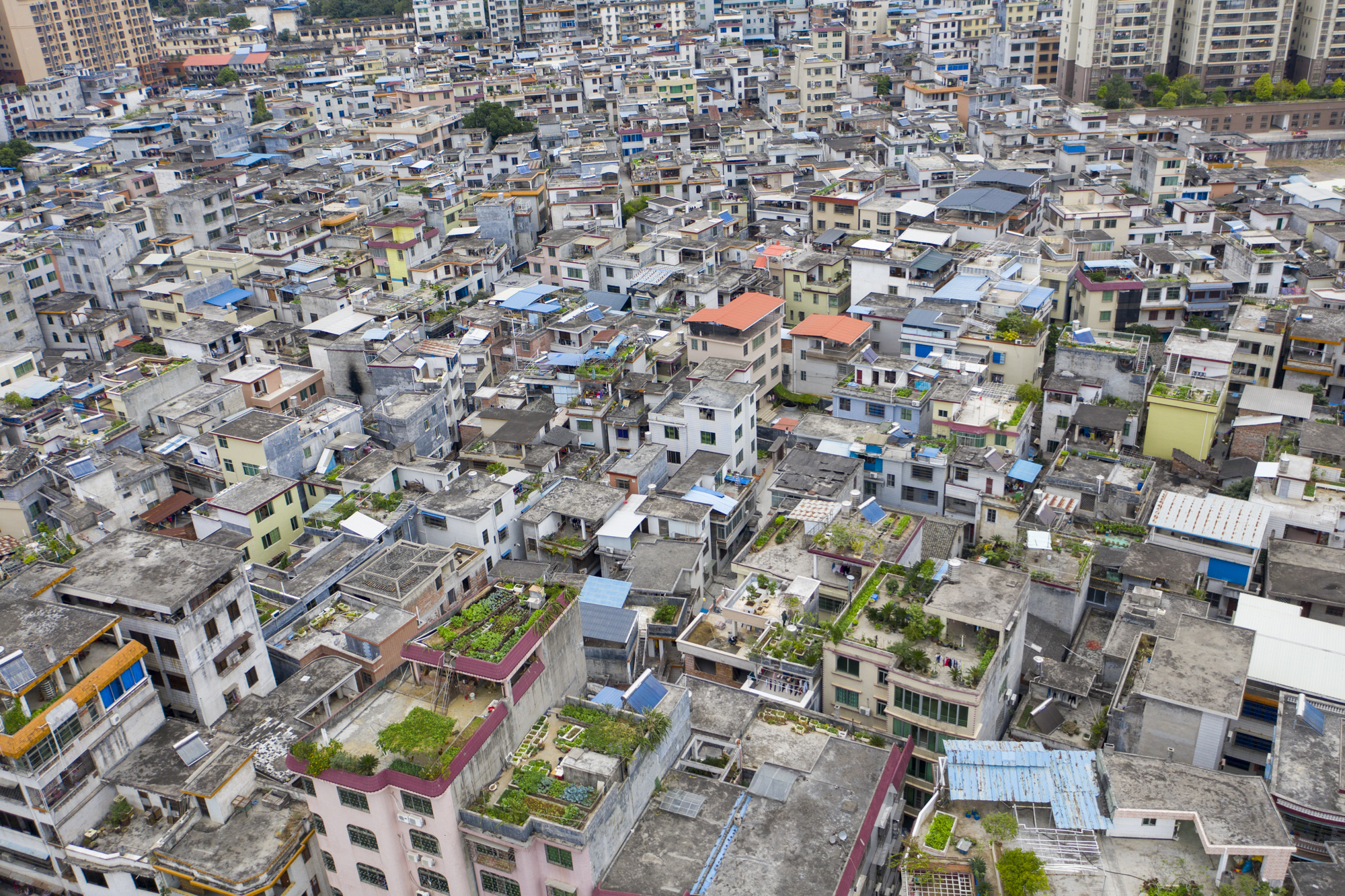 连州市人口_连州市西岸镇人口