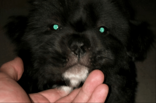 c855711a52324138b7f8bbba3b0f2876.png